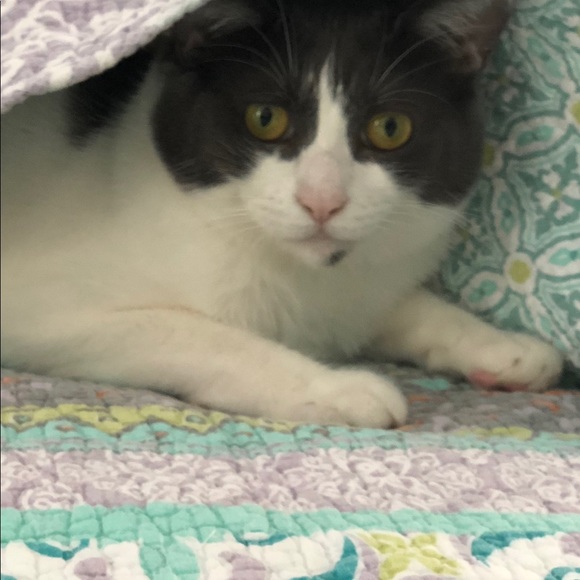 Meet your Posher, Terry - Picture 1 of 1